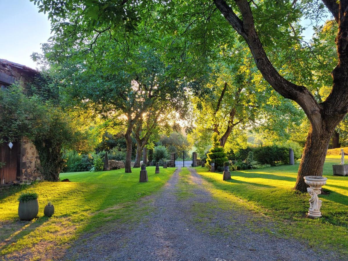 Gites Le Vieux Vinzelles Volvic Bagian luar foto