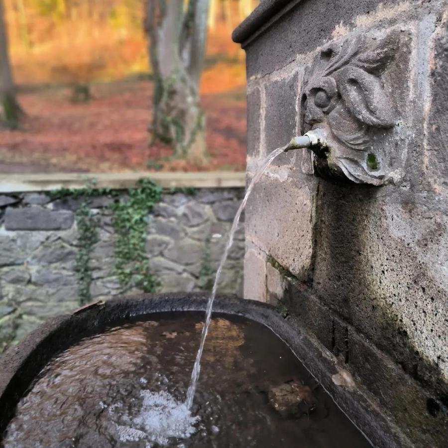 Gites Le Vieux Vinzelles Volvic Bagian luar foto